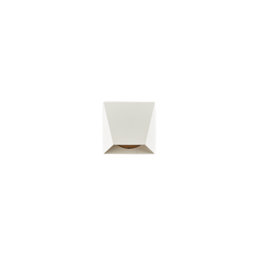 In-Lite WEDGE