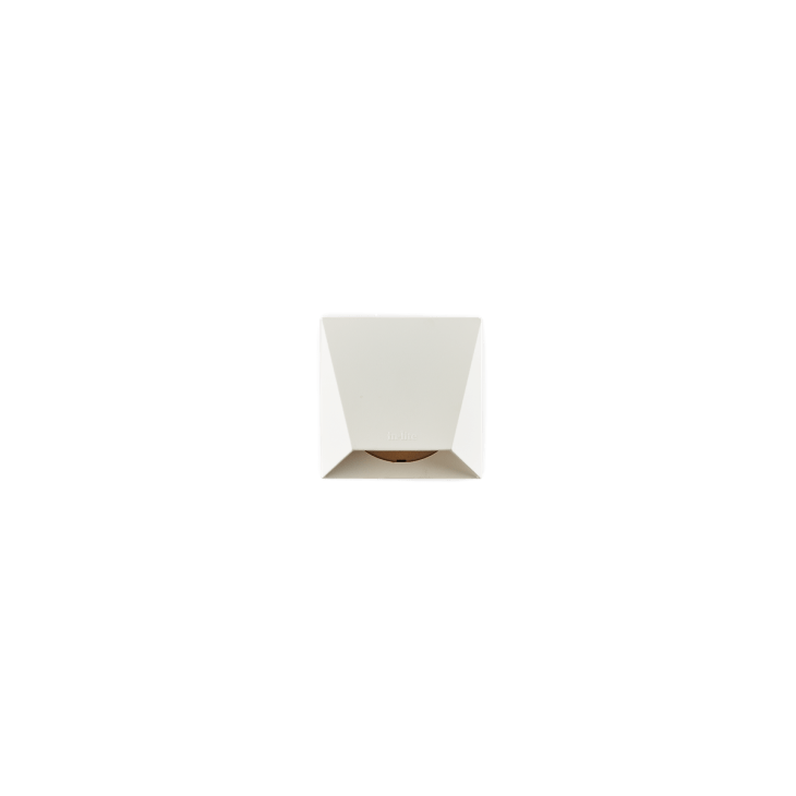 In-Lite WEDGE