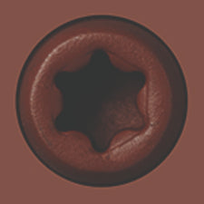 Starborn - CAP-TOR® xd EPOXY Screws