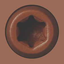 Starborn - CAP-TOR® xd EPOXY Screws