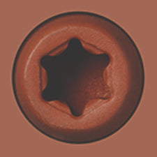 Starborn - CAP-TOR® xd EPOXY Screws