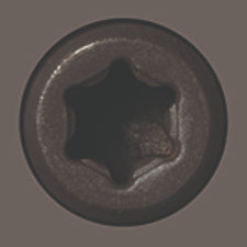 Starborn - CAP-TOR® xd EPOXY Screws