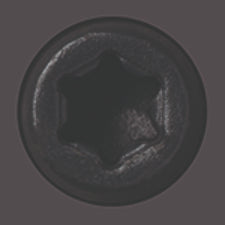 Starborn - CAP-TOR® xd EPOXY Screws