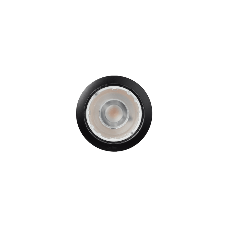 In-Lite BIG FLUX NARROW
