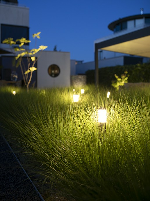 In-Lite LIV