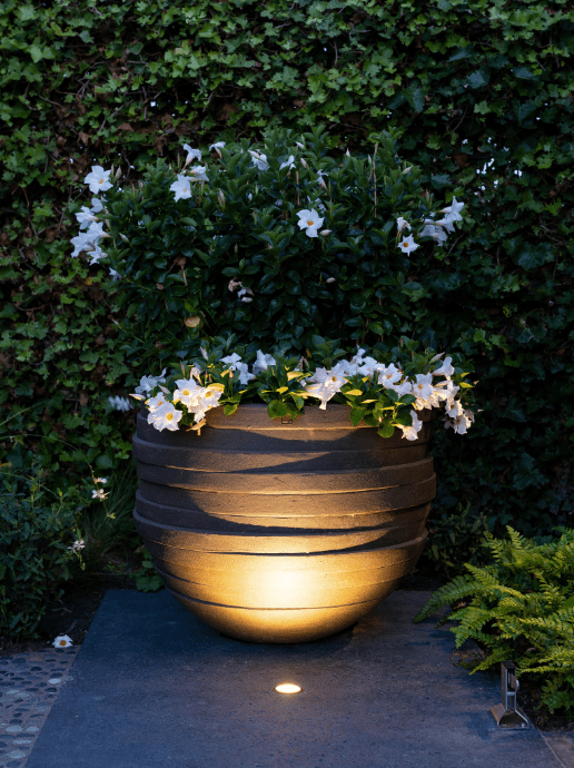 In-Lite LUNA