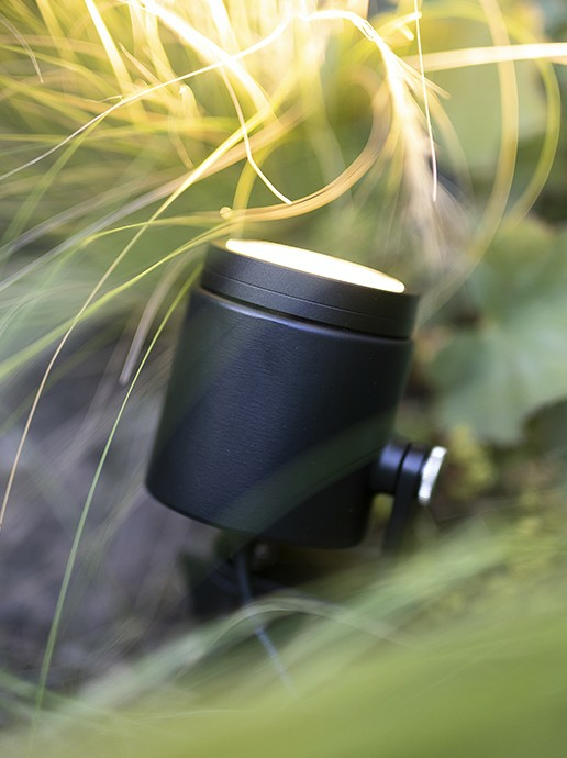 In-Lite SCOPE
