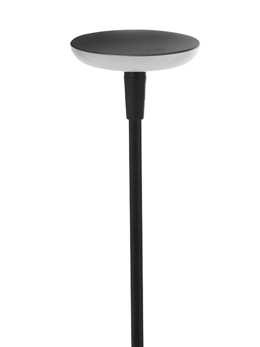In-Lite SWAY LOW
