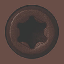 Starborn - CAP-TOR® xd EPOXY Screws