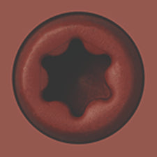 Starborn - CAP-TOR® xd EPOXY Screws