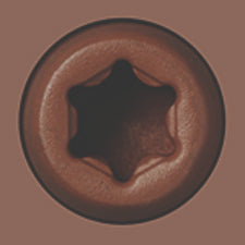 Starborn - CAP-TOR® xd EPOXY Screws