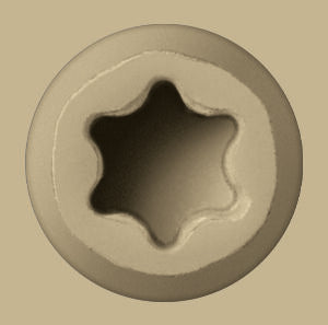 Starborn - CAP-TOR® xd EPOXY Screws