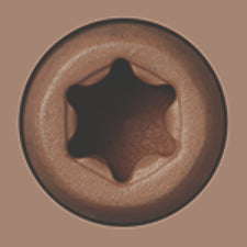 Starborn - CAP-TOR® xd EPOXY Screws