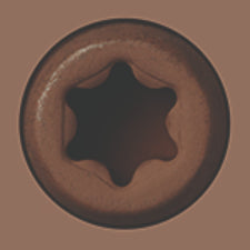 Starborn - CAP-TOR® xd EPOXY Screws